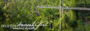Rainforest Skywalk - Attractions Brisbane