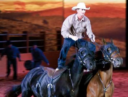 Australian Outback Spectacular - Attractions Brisbane