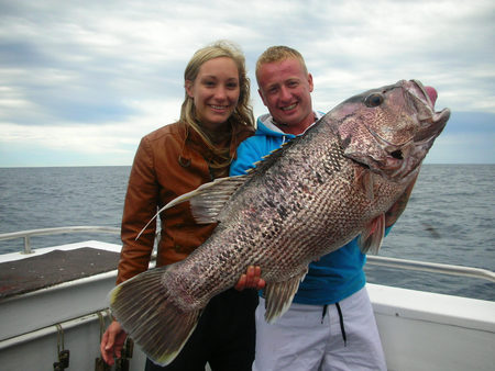 Mills Charters Fishing And Whale Watch Cruises - Attractions Brisbane