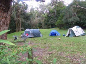 Booderee National Park Cave Beach Camping Area - Attractions Brisbane
