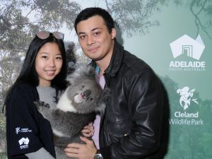 Cleland Wildlife Park - Koala Hold - Attractions Brisbane