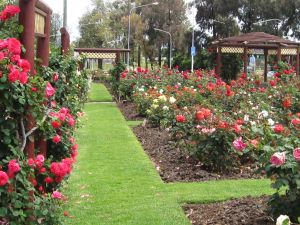 Cowra Rose Garden - Attractions Brisbane